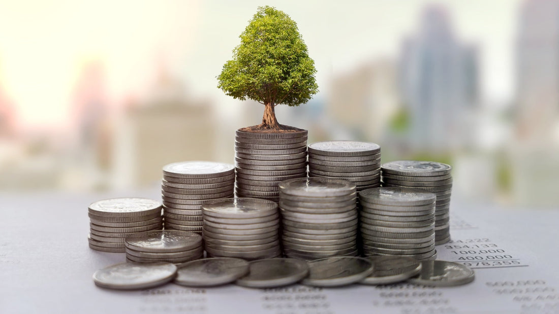 Les luminaires de qualité : un investissement à long terme.